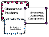 Antonyms, Synonyms, and Homophones Posters **Freebie!**