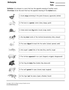 Antonyms Worksheet with Answer Key by Fox Bridge Learning | TpT
