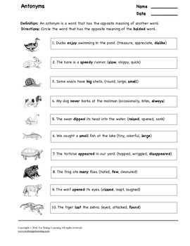 Antonyms Worksheet with Answer Key by Fox Bridge Learning | TpT