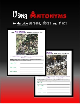 Preview of Antonyms and Adjectives