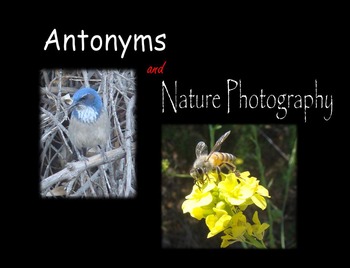 Preview of Antonyms and Nature Photos PowerPoint