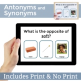 Antonyms and Synonyms Language Activity | Speech Therapy P