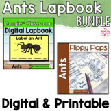 Ants Activities Interactive Notebook Digital and Printable Bundle