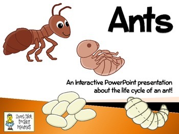 Preview of Ants ~ An Interactive Presentation of their Life Cycle