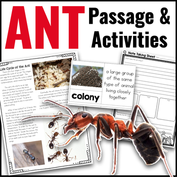 Preview of Ant Life Cycle Animal Research Reading Passage & Comprehension Activities