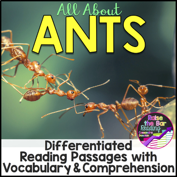 Preview of Ants Differentiated Reading Passages: Nonfiction Small Group Reading Activities