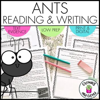 Preview of Ants Informative Writing Prompt and Reading Comprehension Activity