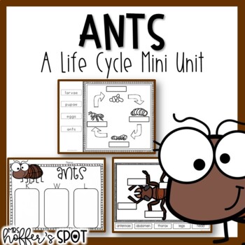 Preview of Ants Life Cycle