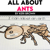 Interactive Notebook: Ant Life Cycle
