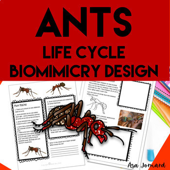 Preview of Ants Project | Life Cycle |  STEAM |  Biomimicry Design Activities |  Nonfiction