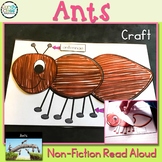 Ants Spring Diagram Craft Activity & Nonfiction Read Aloud