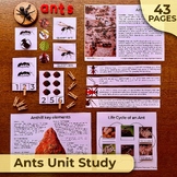 Ants Unit Study, Ants Nature Unit, Ants Life Cycle, Ants Anatomy