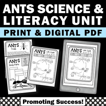 Preview of All About Ants Life Bugs and Insects Printable Theme Study Camping Activities