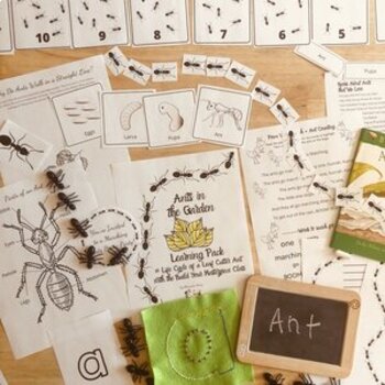 Preview of Ants in the Garden Learning Pack