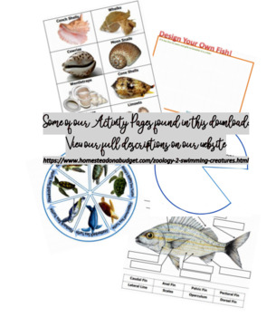 Preview of Apologia Zoology 2 Sea Creatures Activity Pages - Semester 1 (Module 1-Module 6)