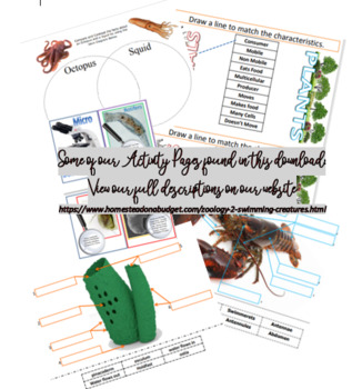 Preview of Apologia Zoology 2 Sea Creatures Activity Pages - Semester 2 Module 7-Module 13