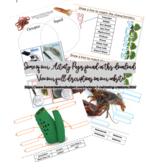 Apologia Zoology 2 Sea Creatures Activity Pages - Semester