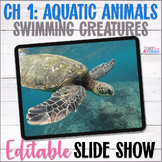 Apologia Zoology 2 Swimming Creatures Ch 1 Aquatic Animals