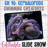 Apologia Zoology 2 Swimming Creatures Ch 10 Cephalopods Sl