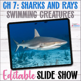 Apologia Zoology 2 Swimming Creatures Ch 7 Sharks & Rays S