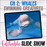 Apologia Zoology 2 Swimming Creatures Chapter 2 Whales Sli