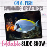 Apologia Zoology 2 Swimming Creatures Chapter 6 Fish Slide