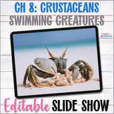 Apologia Zoology 2 Swimming Creatures Chapter 8 Crustacean