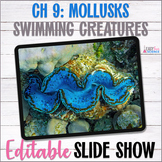 Apologia Zoology 2 Swimming Creatures Chapter 9 Mollusks S