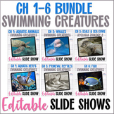 Apologia Zoology 2 Swimming Creatures Chapters 1-6 Slidesh