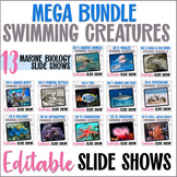 Apologia Zoology 2 Swimming Creatures PowerPoint Slides ME