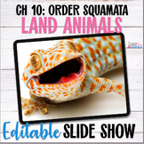 Apologia Zoology 3 Land Animals Lesson 10 Order Squamata |