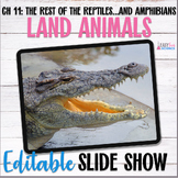 Apologia Zoology 3 Land Animals Lesson 11 Reptiles & Amphi