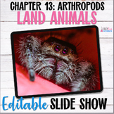 Apologia Zoology 3 Land Animals Lesson 13 Land Arthropods 