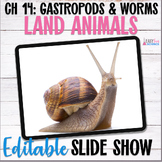 Apologia Zoology 3 Land Animals Lesson 14 Gastropods and W