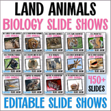Apologia Zoology 3 Land Animals PowerPoint Edible Slidesho