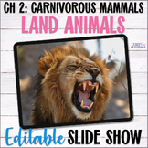 Apologia Zoology Land Animals Lesson 2 Carnivorous Animals