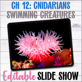 Apologia Zoology Swimming Creatures Chapter 12 Cnidarians 