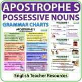Apostrophe S - Possessive Nouns - English Grammar Charts