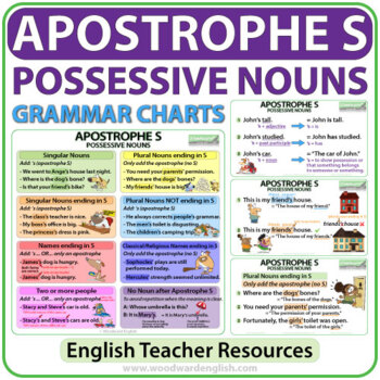 Preview of Apostrophe S - Possessive Nouns - English Grammar Charts