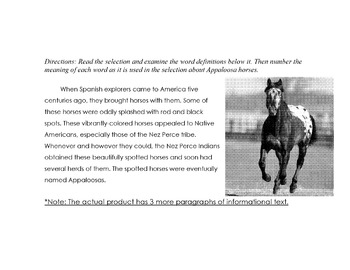 Preview of Animal:Appaloosa Horses of Nez Perce +10 Questions Definitions MULTIPLE MEANINGS