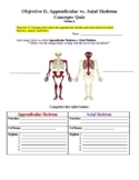 Appendicular vs. Axial Skeletons Quizzes