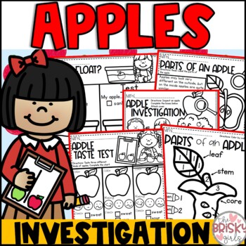 Preview of Apple Activities First Grade | Life Cycle of an Apple | Apple Day Activities