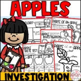 Apple Activities First Grade | Life Cycle of an Apple | Ap