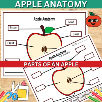 Preview of Apple Anatomy, Parts of an Apple posters and worksheet- Fall Activity