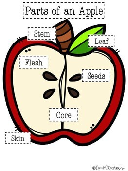 Apple Anchor Chart! Print and Teach or Label the Apple as a class.