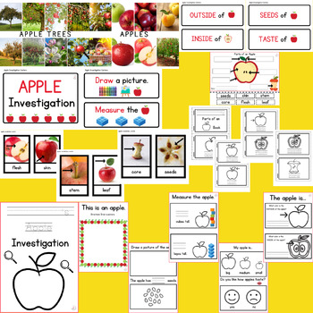 Apple Centers, Science, Preschool, Kindergarten, Parts of an Apple, Craft