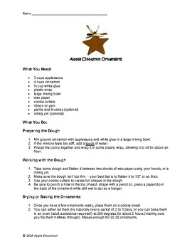 Preview of Apple Cinnamon Ornaments - Functional Text Activity
