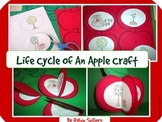 Apple Life Cycle: {Life Cycle of an Apple Craft}