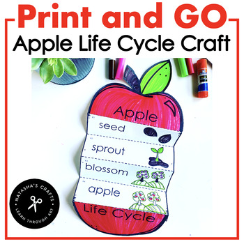 Preview of Accordion Apple Life Cycle Craft