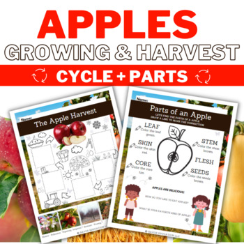 Preview of Apple Growing and Harvest Cycle + Parts